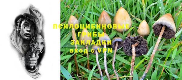 mdpv Лагань