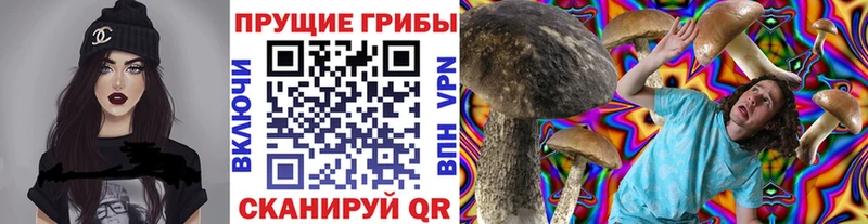 дарк нет Telegram  Магас  Псилоцибиновые грибы мицелий  наркота 